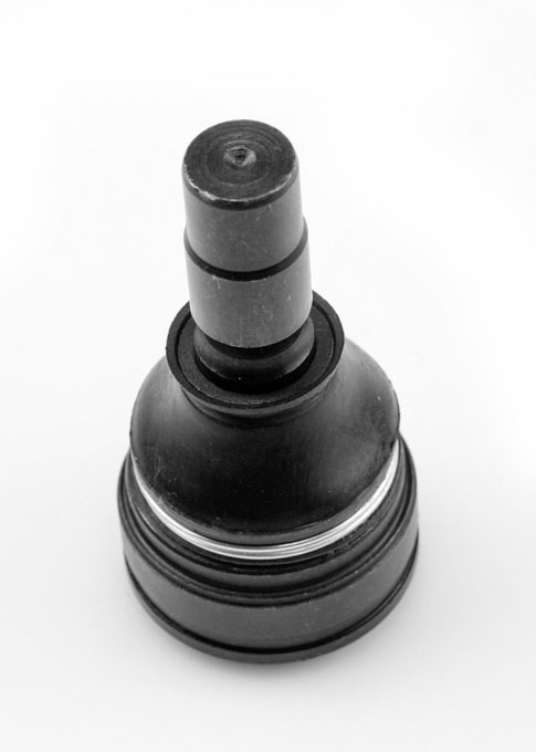 ROTULA INFERIOR